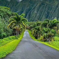 عبدالله (@shdadntr97961) 's Twitter Profile