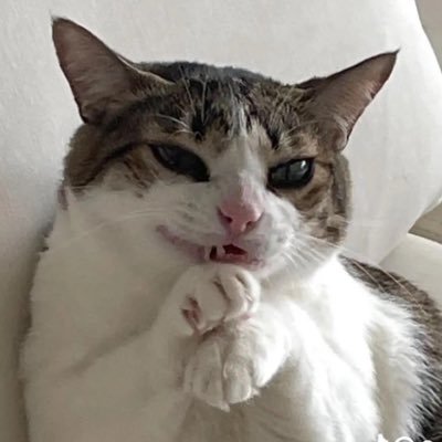 Moved Accounts!さんのプロフィール画像