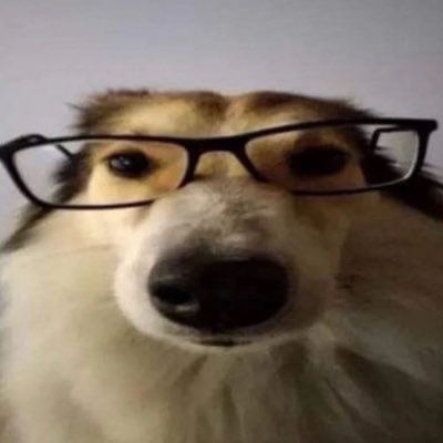 cuspid77's profile picture. 태어날때부터끝이정해져있는절름발이라고해도