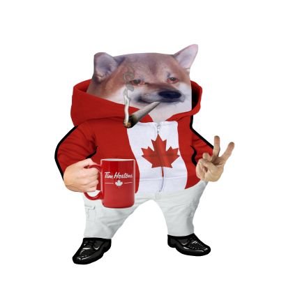 Hellakew12345's profile picture. Antifascist -
He/Him -
#NastyCanadian -
#FELLA -
NAFO/OFAN -
Expansion is non negotiable -
Trump is a pedo

#NeverVoteConservative