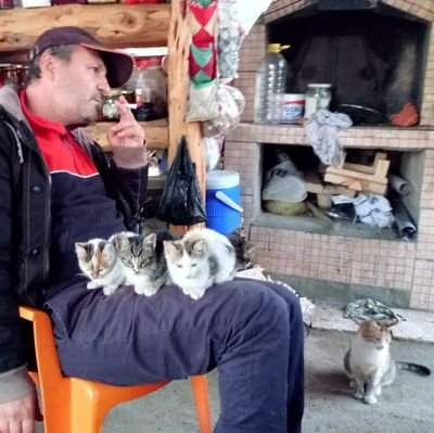 ibrahim_gezici's profile picture. 