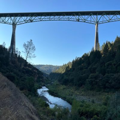 LyshieLoo's profile picture. Kindness. It doesn’t cost a damn thing. Sprinkle that shit everywhere. 💗