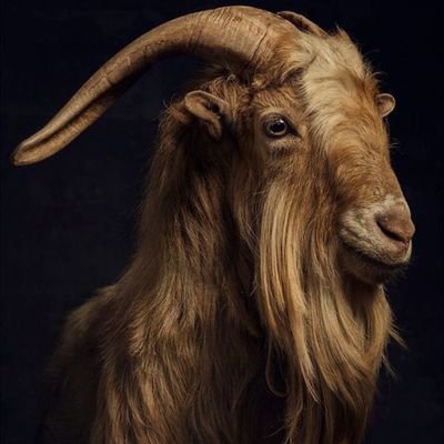 Kendrickl007's profile picture. FC 🦅. I Follow Back Asap...