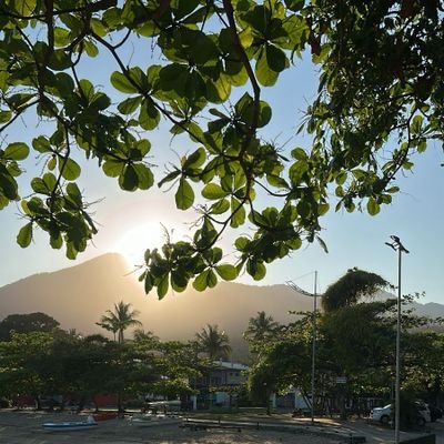 GabyMoura2002's profile picture. Estou obcecada pela Max de 2 broke girl. _____
I do all my own healing ! (•_•)