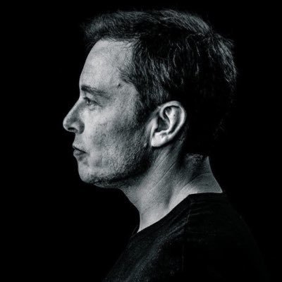 spacextesla365's profile picture. 