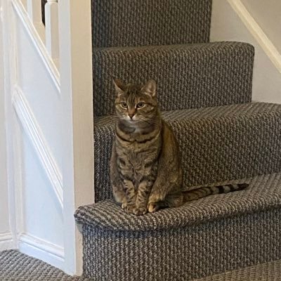 Aevan52002's profile picture. 