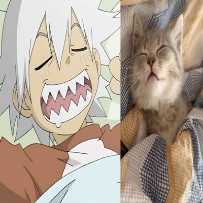 3kitts's profile picture. 18 | I’m a girl lol