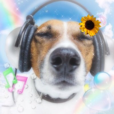 mypetitlucy's profile picture. DAY6 | The Rose | LUCY | Xdinary Heroes | AxMxP