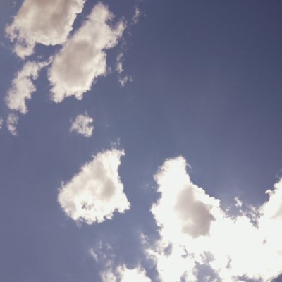 jarringcreation's profile picture. Fuck Trump and fuck you if you voted for him.