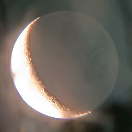 P0PadOgOjG12shd's profile picture. 雑伊　高さこ　押数　💥🥦　🥽💜　基本壁打ち　30↑