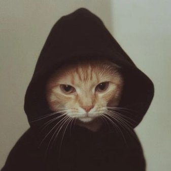 0xpxz's profile picture. ª
ㅤ
ㅤ