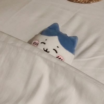 largeboke's profile picture. Co ceo NTM | échec à temps partiel et peut-être @malakiffance
