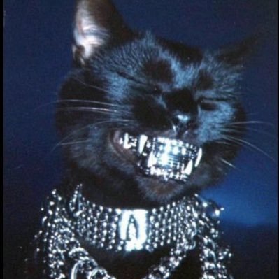 nomanliketoni_'s profile picture. Musician.🤍🕊️ GO BIRDS🦅