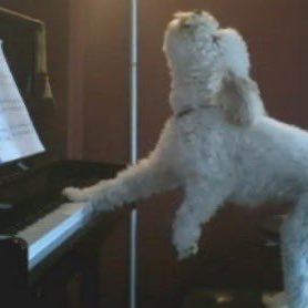 won___77's profile picture. romanticizing life