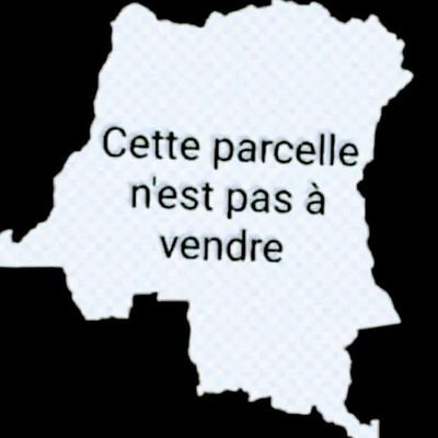 o_bossale's profile picture. 𝖯𝗅𝗎𝗌 𝖰𝗎𝖾𝗌𝗍𝗂𝗈𝗇 𝗅𝖺 𝗋𝖽𝖼 𝖺𝗎𝗑 é𝗍𝗋𝖺𝗇𝗀𝖾𝗋𝗌, 𝗆𝖺𝗂𝗇𝗌 𝖼𝖾 𝗆𝖺𝗂𝗇𝗍𝖾𝗇𝖺𝗇𝗍 𝗅𝖾 𝖢𝗈𝗇𝗀𝗈 𝖺𝗎𝗑 𝖢𝗈𝗇𝗀𝗈𝗅𝖺𝗂𝗌…
