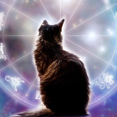 DJ0517121541780's profile picture. Biologist/Botanist