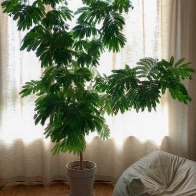 clair_byars's profile picture. 