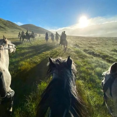 tumuy26119914's profile picture. 歩めば歩くほど遠くへ行き、世界を見れば見るほど、自分自身も理解できる。