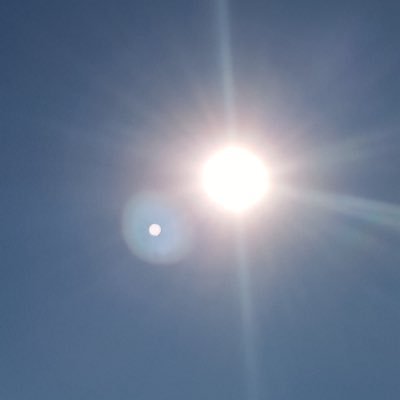 sportspickdude's profile picture. 