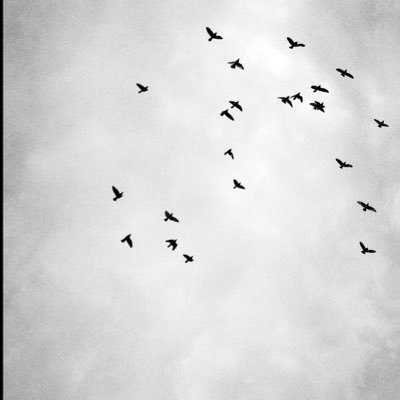 2werifi's profile picture. نقتفي أثر الشُّهداء لعلنا ننالُ بهم شفاعة.