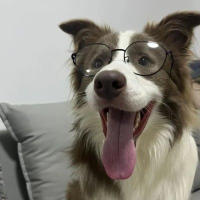 JAYYKAYY122333's profile picture. roblox: jk122333
NICHE MICRO CELEBRITY