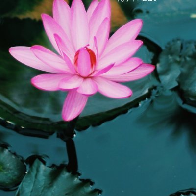 yuly_andrear's profile picture. 