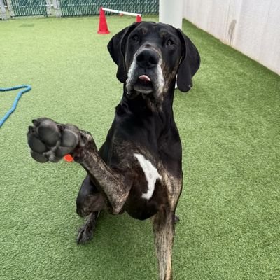 RunningAlchemi1's profile picture. Woman (wife). Christian. MAGA. 🇺🇸 🇺🇲 No DMs!!