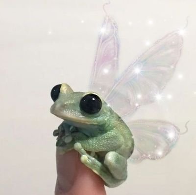 fuentanyladdict's profile picture. the way u talk abt max verstappen, wu yifan, & nick fuentes will reflect the way i treat u .