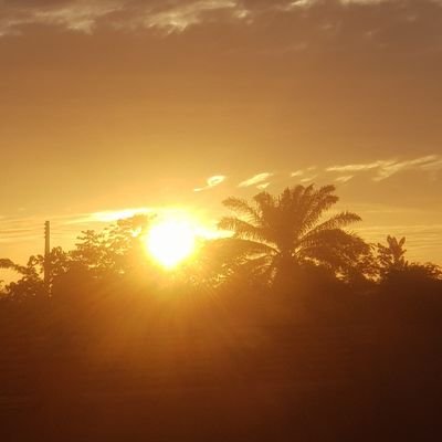 great_make62936's profile picture. Americans First 🇺🇸