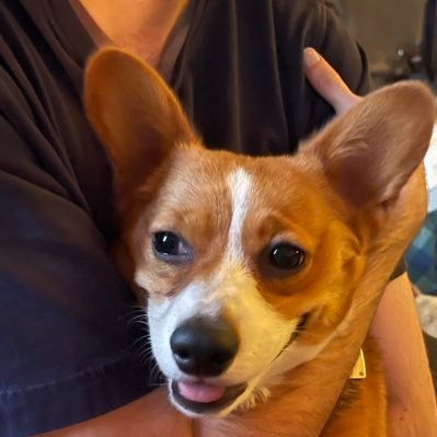 MTingiris's profile picture. 