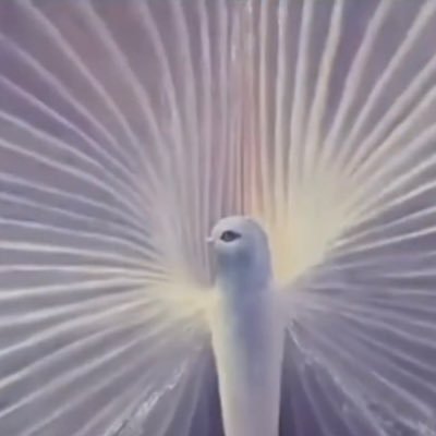 fallen_oath's profile picture. 