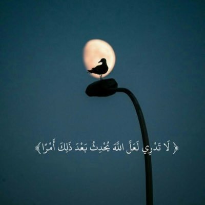 garb_kuw's profile picture. يارب ان غادرت هذه الدنيا فلا تحرمني الجنه 🤲