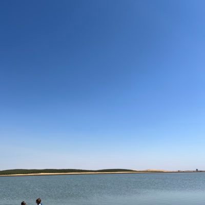 DeFi1042351's profile picture. Here to showcase DeFi on Algorand and how to use it
