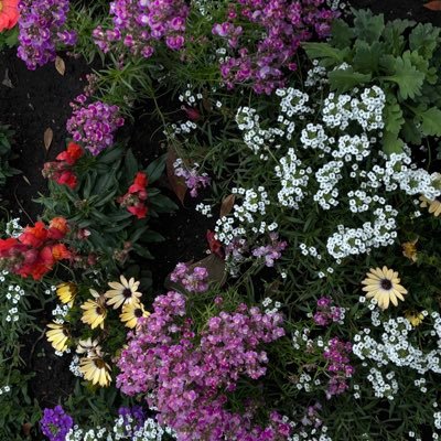 ain07100220's profile picture. wimper 07（06）11/24横アリ初参戦