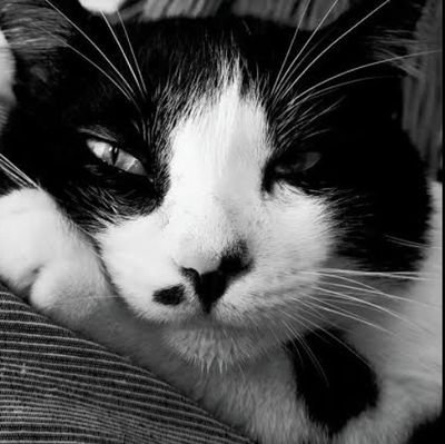 BeijinhoAmore1's profile picture. 