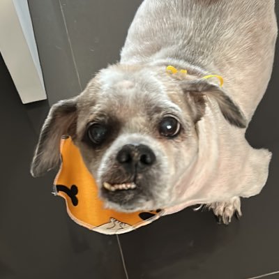 luiza2000s2's profile picture. Filha da Rita Lee