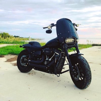 louisianalouie's profile picture. Biker 🛸