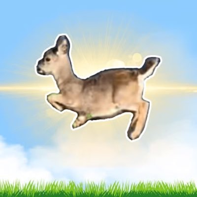 AI_Imaginexxx's profile picture. shitposting trading memes and making ai
