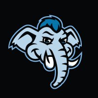 Tusky (@tuskynhl) 's Twitter Profile Photo