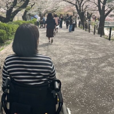 Mako_nenkin's profile picture. 難病＆電動車椅子ユーザーの社労士の卵。目指すは同じような方と伴走する障害年金のサポーター。開業に向けてのいろいろ、新人ライター•ブロガーの日々を呟き中。つながりを増やしたい！/事務指定講習受講予定/Webライター/元教員/保有資格：FP2級、教員免許（小学校・特別支援・幼稚園）、保育士他