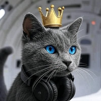 Bibkun_Books's profile picture. 読書大好きビブリオマニアのビブくんです📕 このアカウントでは、日々の読書の感想を呟きます📚ミステリーや伝奇小説を中心に、古典やビジネス書、ラノベなども読んでいきます。電子書籍で蔵書を再購入中。無言フォロー失礼します。 #読書 #本好きな人と繋がりたい #読書垢