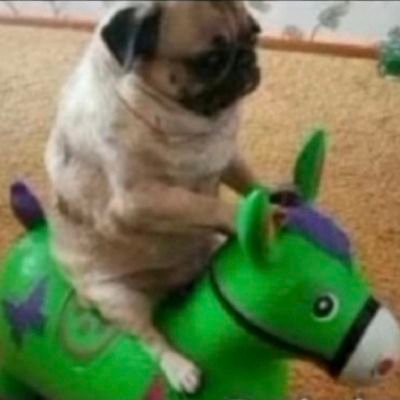 pudimdecana69's profile picture. 