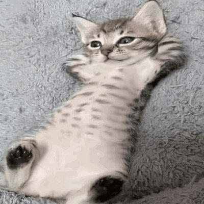 strengenana's profile picture. for low effort pics n stuff'  18+ | in-world: Strange Banana • he/him • stay-at-home cat dad. #secondlife #sl