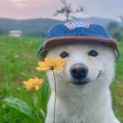 __savastano's profile picture. 