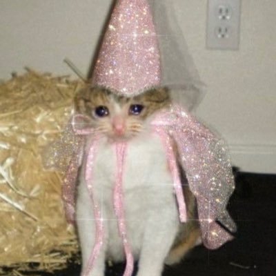 wthtink's profile picture. come here often?