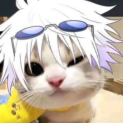 sara_Ask1's profile picture. 