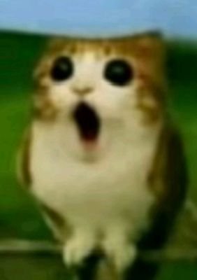 cardyhearts's profile picture. 