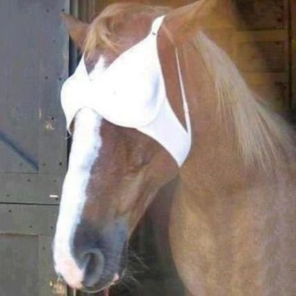 JManuelMedinaAR's profile picture. ¿Me amarías aún sabiendo que soy tres aplicaciones de inteligencia artificial en un sobretodo?