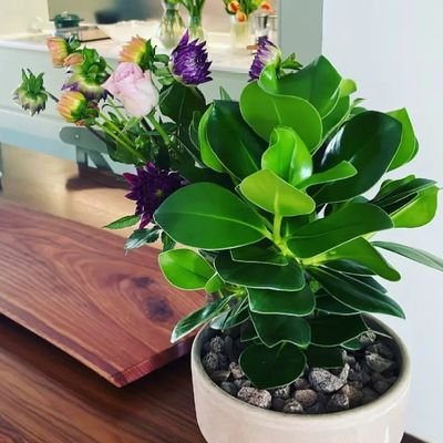 castillo_m21923's profile picture. 