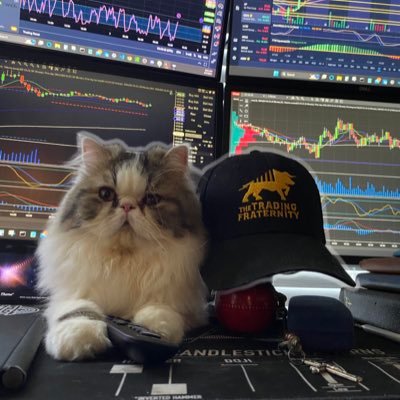 StockMarketGus's profile picture. manager of positions & handler of situations